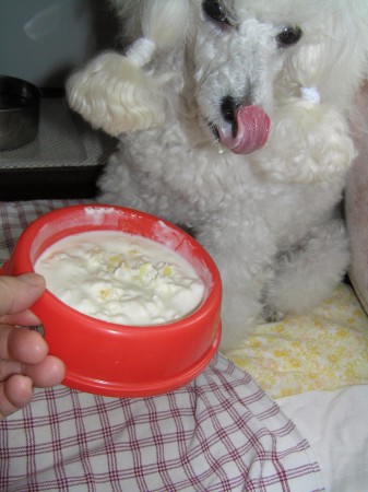 Smetanový jogurt s tvarohem, medem a ananasem...